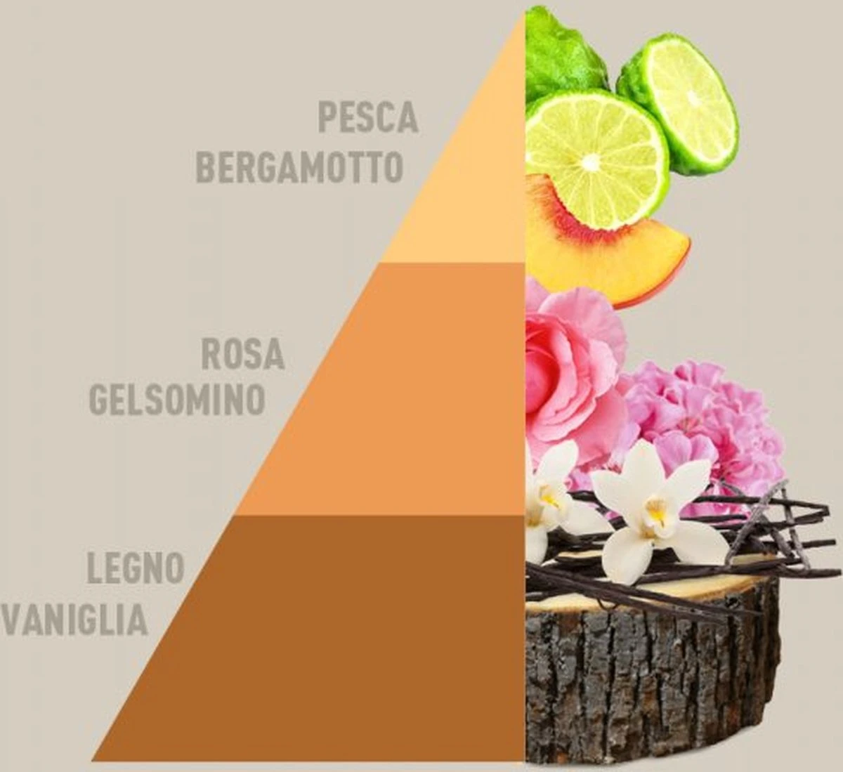 Horomia Wasparfum Vento DOriente - 500ml Horomia Wasparfum Vento DOriente - 500ml -Schoonmaakproducten Winkel 1200x1099 1