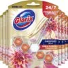 Glorix Aroma Lux Dahlia Flower & Dragonfruit - 9 Toiletblokken - Halfjaarbox - Voordeelverpakking -Schoonmaakproducten Winkel 1200x1111