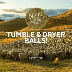 Lavayette XL Drogerballen Met 25ml Wasparfum - WasdrogerBallen – Droogballen – Wasbol – 100% Nieuw-Zeelands Schapenwol – Milieu- En Diervriendelijk – 6 Stuks -Schoonmaakproducten Winkel 1200x1200 1076