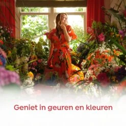 Robijn Color & Passiebloem Wasmiddel En Wasverzachter Pakket - 5 Stuks - Voordeelpakket -Schoonmaakproducten Winkel 1200x1200 1228