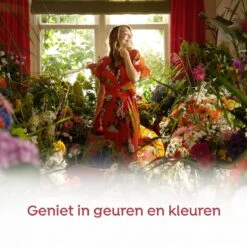 Robijn Klein & Krachtig Zwitsal Vloeibaar Wasmiddel - 2 X 34 Wasbeurten - Voordeelverpakking -Schoonmaakproducten Winkel 1200x1200 1232