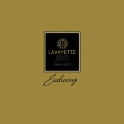 Lavayette Premium Wasparfum - Jasmin Shades - Geurbooster 500ml (Diamante) 4 Lavayette Premium Wasparfum - Jasmin Shades - Geurbooster 500ml (Diamante) -Schoonmaakproducten Winkel 1200x1200 1419