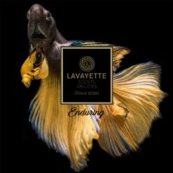 Lavayette Premium Wasparfum 2in1 - Double Fun & Jasmine Shades - Geurbooster -Schoonmaakproducten Winkel 1200x1200 2047