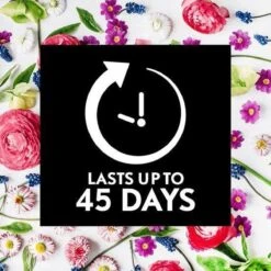 Air Wick Essential Mist Automatische Geurverspreider Luchtverfrisser - Innerlijke Rust - Navulling -Schoonmaakproducten Winkel 1200x1200 536