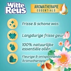 Frisse Reus Lotus Amandel Gel Wasmiddel - Vloeibaar - 80 Wasbeurten - Voordeelverpakking 10 Frisse Reus Lotus Amandel Gel Wasmiddel - Vloeibaar - 80 Wasbeurten - Voordeelverpakking -Schoonmaakproducten Winkel 1200x1200 882