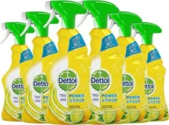 Dettol - Power & Fresh - Allesreinger Spray - Citrus - 6 X 500 Ml 11 Dettol - Power & Fresh - Allesreinger Spray - Citrus - 6 X 500 Ml -Schoonmaakproducten Winkel 1200x885