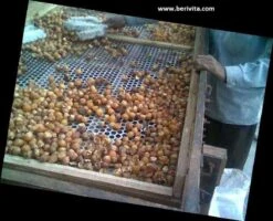 Wasnoten 3kg Met 4 Waszakjes - Zeepnoten - Natuurlijk Wassen - 4x750gr -Schoonmaakproducten Winkel 1200x973 4